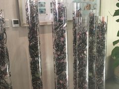 -阿玛施眼科