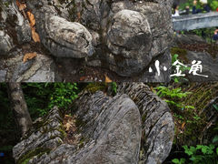 -恩施大峡谷