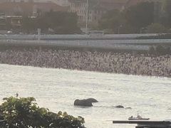 -胡里山炮台