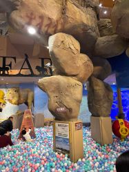 -卡通尼·Safari非洲探索乐园·生日会(金桥国际商业广场店)