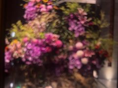 -浅深Cheersum(曹杨店)