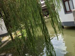 -渭塘酒家(生态园店)