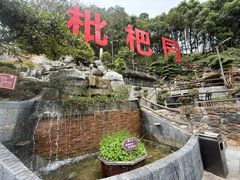 -枇杷园食为鲜火锅(南山店)