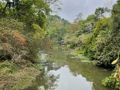 -中国科学院西双版纳热带植物园