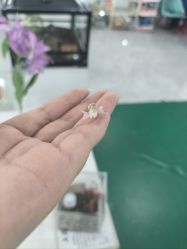 -神奇动物撸宠馆·羊驼·小浣熊·异宠(豫园店)