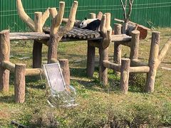 -沈阳森林动物园