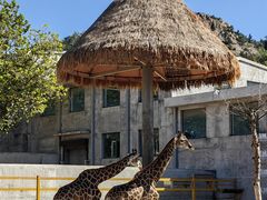 -西霞口神雕山野生动物世界