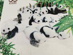 -青藏高原野生动物园