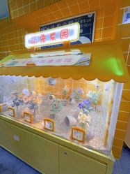 -神奇动物撸宠馆·羊驼·小浣熊·异宠(豫园店)