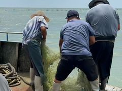 -日照灯塔风景区