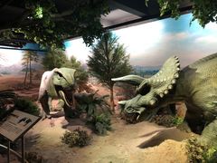 -国家自然博物馆