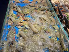 -徐记海鲜(曲江南湖店)