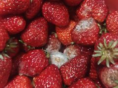 -乐家玛特超市(秀沿店)