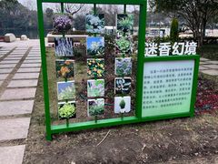 -新江湾城公园