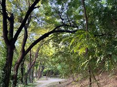 -元大都城垣遗址公园