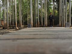 -桉树林A coffee 森林餐厅(三圣乡店)