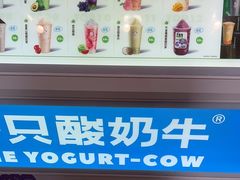 -一只酸奶牛(春熙路店)