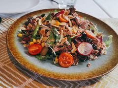 -一棵树·意大利西餐厅One Tree(新城店)