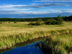 -塞罕坝国家级自然保护区
