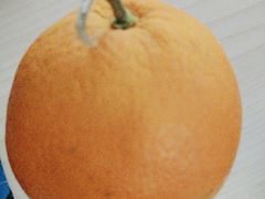 -e佳鲜果(四方坪店)