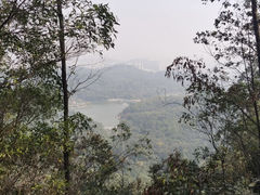 -滴水岩森林公园