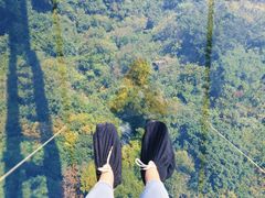 -天台山琼台仙谷景区
