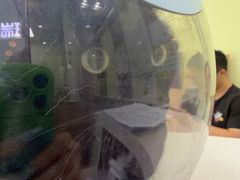 -瑞鹏宠物医院·宠保定点·心脏科·内科(御桥分院)