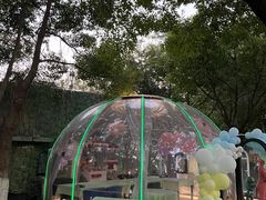 -哟吼艺术餐厅·亲子·生日宴
