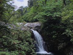 -龙苍沟森林公园
