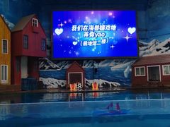 -西安曲江海洋极地公园