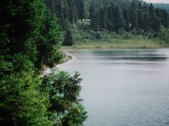 -武陵山森林公园