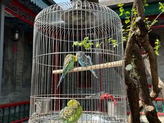 -上海老饭店(北京分店)