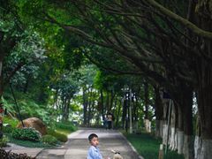-玉树公园