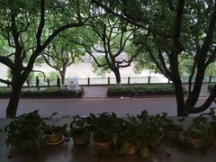 -何记面馆(龙泉山店)