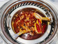 -龍歌自助小火锅(崂山丽达店)