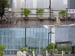 -广州粤海喜来登酒店