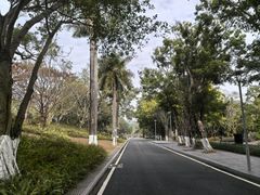 -东莞植物园