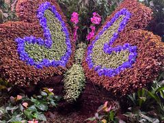 -正佳雨林生态植物园