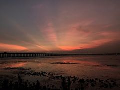 -宝安西湾红树林湿地公园