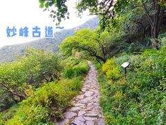 -阳台山自然风景区
