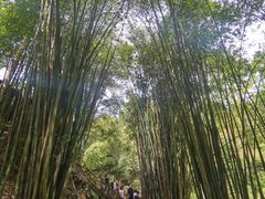 -凤栖山