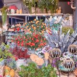 一整个露台花园🌷宝藏咖啡店🍮