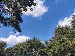-Blarney Stone巧言石爱尔兰酒吧