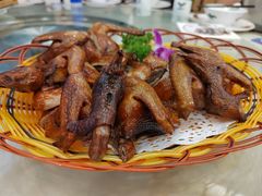 招牌红烧乳鸽-麦园农庄·西江河鲜