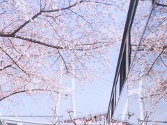 -上海南浦大桥长途旅游客运站
