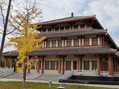 -函谷关历史文化旅游区