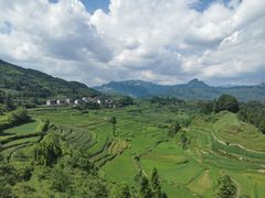 -重庆睡佛山森林公园