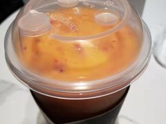 -野萃山·潮汕厚果汁(十亩地店)