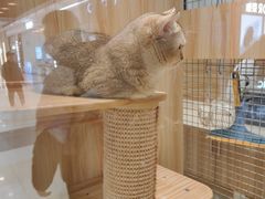 -永旺梦乐城(金银潭店)