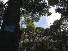 -绵阳人民公园(涪城区)
